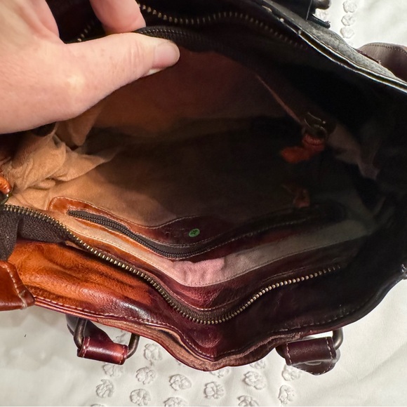 Bed Stu Brian Bird of Paradise TD - Picture 9 of 10